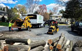 Best Arborist Consultation Services  in Twinsburg, OH